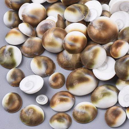 Cheap Natural Shell Cabochons Online Store Cobeads