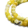 Natural Yellow Turquoise(Jasper) Beads Strands G-P457-B01-47-2