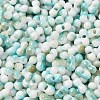 Baking Paint Glass Seed Beads SEED-F005-01A-01-3