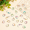 DICOSMETIC 60Pcs 2 Style Rainbow Color 304 Stainless Steel Leverback Earring Findings STAS-DC0010-40-5