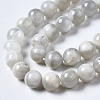 Natural White Moonstone Beads Strands G-N328-51B-01-2