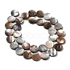 Natural Sea Shell Beads Strands SHEL-K006-34-2