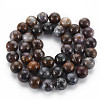 Natural Pietersite Beads Strands G-R446-10mm-13-2