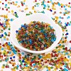 8/0 Glass Seed Beads SEED-A004-3mm-3