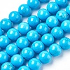 Natural Magnesite Beads Strands TURQ-P027-28A-8mm-1