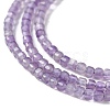 Natural Amethyst Beads Strands G-P514-B06-01-4