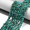 Natural HuBei Turquoise Beads Strands G-B089-B01-01-2