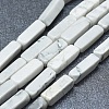 Natural Howlite Beads Strands G-F631-E10-1