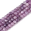 Natural Lepidolite/Purple Mica Stone Beads Strands G-N342-139-1