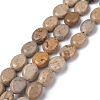 Natural Fossil Beads Strands G-Z006-A09-1