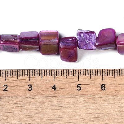 Dyed Natural Freshwater Shell Beads Strands SHEL-P016-01D-1