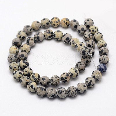 Natural Dalmatian Jasper Beads Strands G-D685-8mm-1