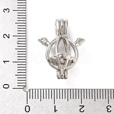 Alloy Bead Cage Pendants FIND-M012-01J-P-1