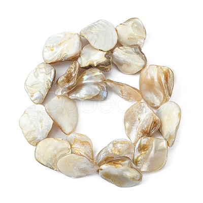 Handmade Shell Beads Strands PBB471-1-1