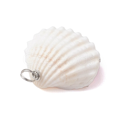 Natural Shell Pendants PALLOY-JF02646-1