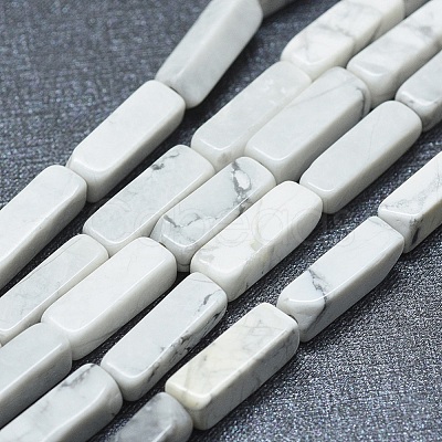 Natural Howlite Beads Strands G-F631-E10-1