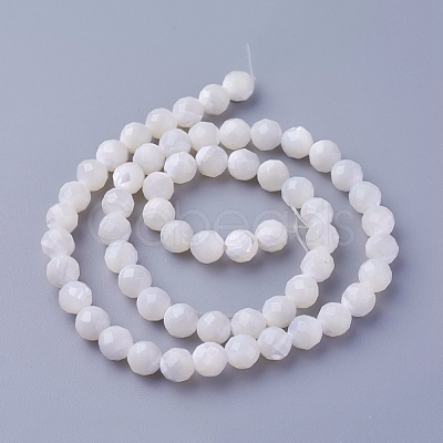 Shell Beads Strands SSHEL-E571-38-6mm-1