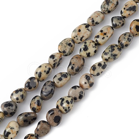Natural Dalmatian Jasper Beads Strands G-B039-03A-1