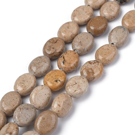 Natural Fossil Beads Strands G-Z006-A09-1