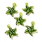 Handmade Lampwork Pendants, Bumpy, Starfish, Olive Drab, 35~38x31~32x8~9mm, Hole: 2~4mm