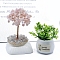 Natural Rose Quartz Sculpture Display Decorations, for Home Office Desk, Tree, 40~80x90~120mm