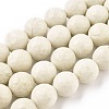Natural Fossil Round Bead Strands X-G-O151-02-12mm-1