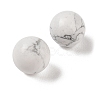 Natural Howlite No Hole Sphere Beads G-K353-04A-20-2