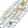 Natural Freshwater Shell Beads Strands SHEL-H002-03-3