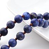 Natural Lapis Lazuli Necklaces NJEW-D264-08-2