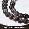 Olycraft 2 Strands Natural Silver Obsidian Beads Strands G-OC0002-61A-3