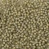 TOHO Round Seed Beads SEED-XTR08-0369FM-2