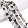 Natural Eagle Eye Stone Beads Strands G-T139-6x6-28A-1