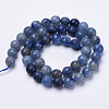 Dyed Natural Blue Aventurine Beads Strands G-S281-11-10mm-2