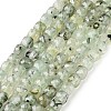 Natural Prehnite Beads Strands G-H042-A46-03-1