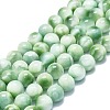 Natural Glass Beads Strands G-K245-A13-05-1