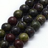 Natural Bloodstone Beads Strands X-G-I199-21-10mm-1