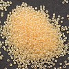 8/0 Glass Seed Beads X-SEED-J012-F8-102-2