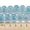 Handmade Lampwork Beads Strands LAMP-L079-05G-4