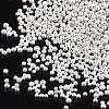 Plated Glass Seed Beads SEED-S019-01B-03-2