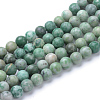 Natural Qinghai Jade Beads Strands X-G-T055-8mm-16-1
