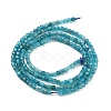 Natural Blue Apatit Beads Strands G-H042-B12-01B-3