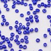 8/0 Glass Seed Beads X-SEED-J014-F8-48-3
