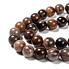 Natural Petrified Wood Round Bead Strands G-F266-08-14mm-3