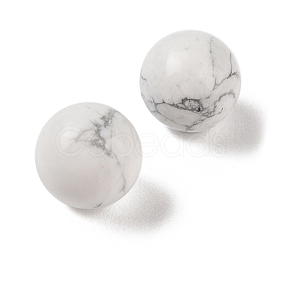 Natural Howlite No Hole Sphere Beads G-K353-04A-20-1