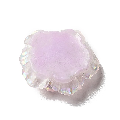 Transparent Resin Cabochons CRES-M014-21-1