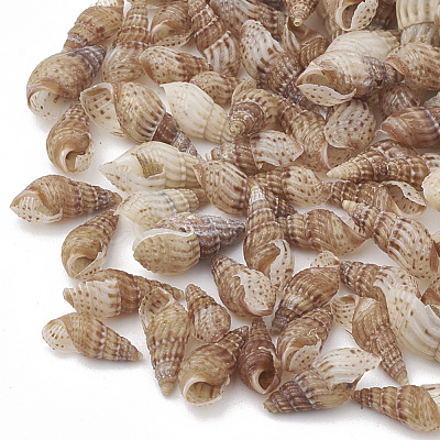 Sea Shell Beads SSHEL-S258-04-1