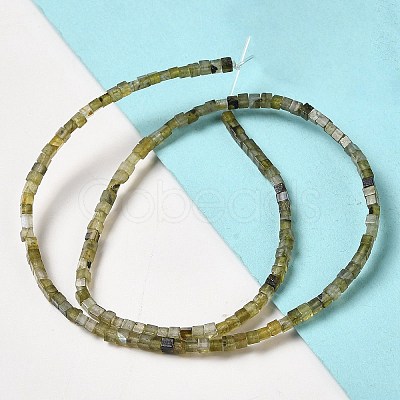 Natural Labradorite Beads Strands G-B064-A32-1