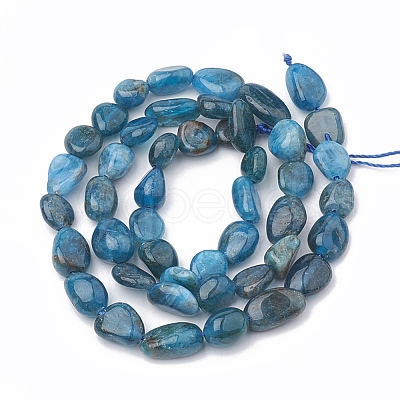 Natural Apatite Beads Strands X-G-S331-6x8-002-1