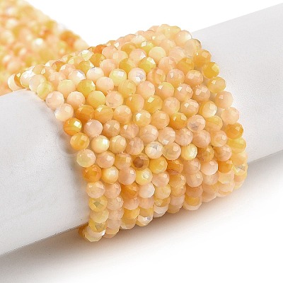 Natural Yellow Shell Beads Strands BSHE-G036-09B-1