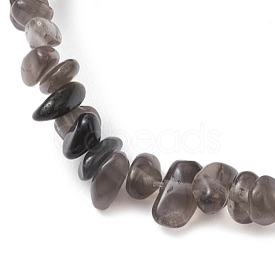 Natural Ice Obsidian Anklets AJEW-AN00592-08-1